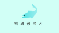 백괴광역시시기.png