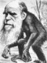 Darwin as monkey.png