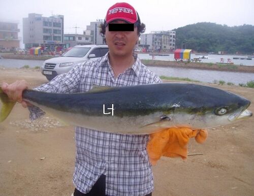 파일:Fishing.jpg